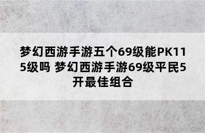 梦幻西游手游五个69级能PK115级吗 梦幻西游手游69级平民5开最佳组合